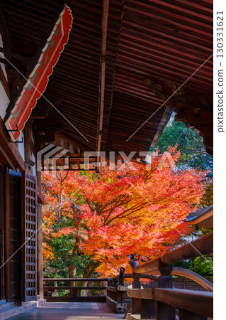 被秋葉包圍的寶勝寺 130331621