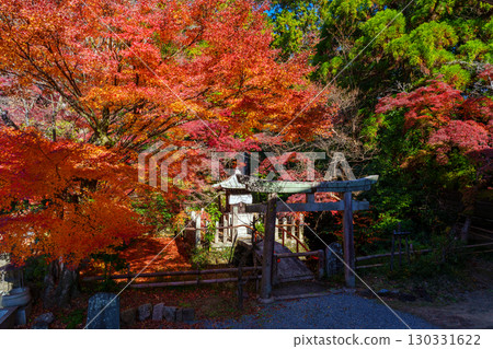 Hoshoji Temple surrounded by autumn leaves 130331622