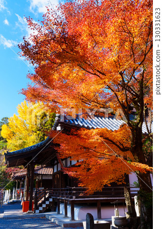 被秋葉包圍的寶勝寺 130331623