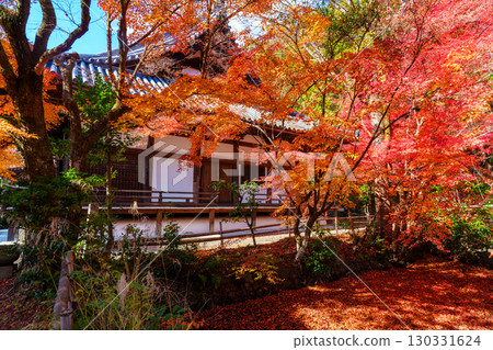 被秋葉包圍的寶勝寺 130331624