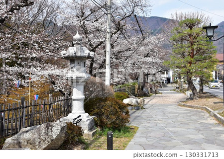 長野縣上田市二之丸通和上田城跡公園的櫻花盛開 130331713