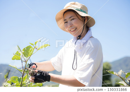 一位婦女在田裡收割蔬菜。圖片為農民或農業工人。 130331866