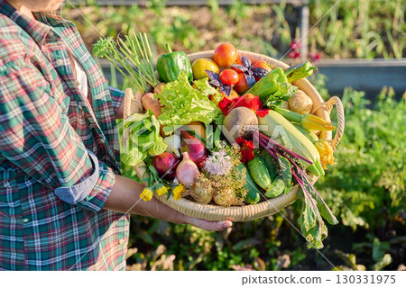 Basket with different fresh vegetables herbs in woman's hands outdoor Basket with different fresh vegetables herbs in woman's hands outdoor 130331975