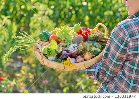 Basket with harvest of fresh vegetables herbs edible flowers in hands of female in garden Basket with harvest of fresh vegetables herbs edible flowers in hands of female in garden 130331977