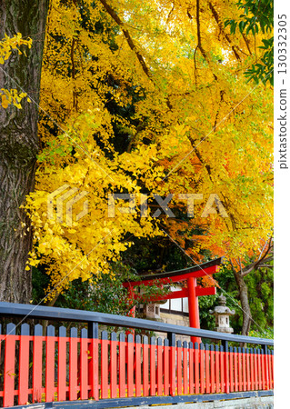 Autumn at Yamazaki Shoten Kannonji Temple Inari Daimyojin 130332305