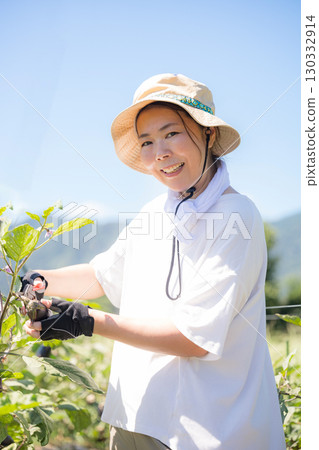 Woman harvesting vegetables in the field. Image of a farmer or agricultural worker. Close-up of a smiling face. 130332914