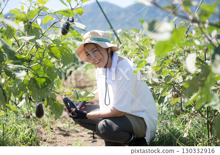 Woman harvesting vegetables in the field. Image of a farmer or agricultural worker. Smiling. Woman harvesting vegetables in the field. Image of a farmer or agricultural worker. Smiling. 130332916