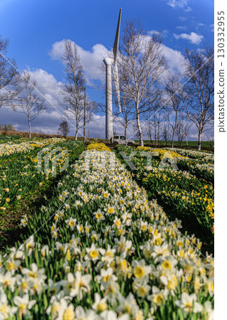 藍天、水仙花、風力發電的春日景色 130332955