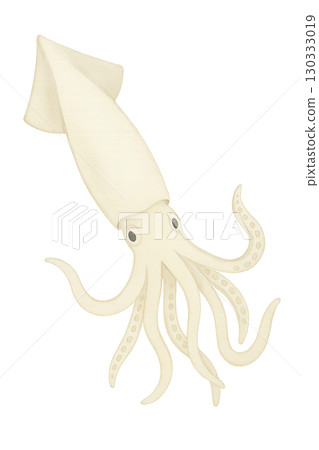 Simple squid illustration material 130333019