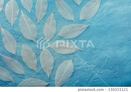 Autumn leaves pattern background. Skeleton leaves on a teal blue texture 130333121