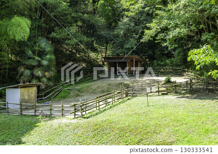 廣島縣福山市新勝寺、驢子一休 130333541