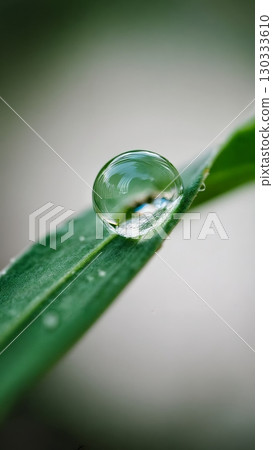 Macro Water Droplet, Delicate Detail, Pure Reflection, Nature's Art. Perfect for science, abstract art, meditative content Macro Water Droplet, Delicate Detail, Pure Reflection, Nature's Art. Perfect for science, abstract art, meditative content 130333610