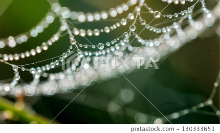 Spider Web Dew Drops, Delicate Engineering, Nature's Trap, Morning Sparkle. Ideal for nature, abstract patterns, intricate designs Spider Web Dew Drops, Delicate Engineering, Nature's Trap, Morning Sparkle. Ideal for nature, abstract patterns, intricate designs 130333651