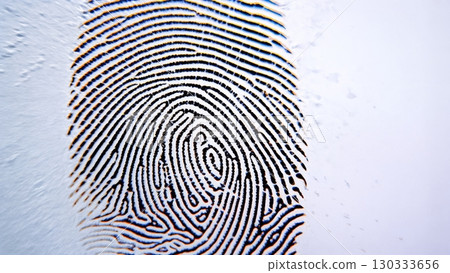 Fingerprint Swirls, Unique Identity, Personal Trace, Forensic Detail. Great for security, identity, abstract human elements Fingerprint Swirls, Unique Identity, Personal Trace, Forensic Detail. Great for security, identity, abstract human elements 130333656