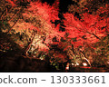 Autumn leaves lighted up 130333661