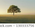 Trees standing in a meadow at calm sunset 130333756
