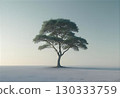 Trees standing in a calm snowy field 130333759