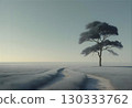 Trees standing in a meadow at calm sunset 130333762