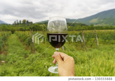 Hand Holding Glass of Red Wine in Vineyard 130333888