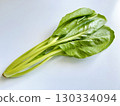 小松菜白色背景 130334094