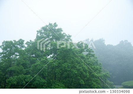Misty mountain landscape 130334098