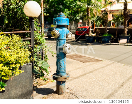 Blue fire hydrant installed on a city sidewalk near greenery and urban street background. Safety, emergency and infrastructure equipment ensuring protection, resource access and hazard prevention. 130334135