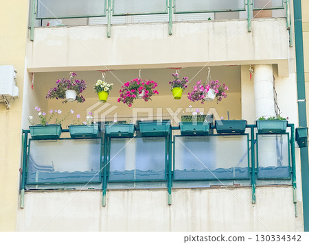 Balcony decorated with flowers in pots and hanging baskets in urban apartment. Lifestyle detail of city housing, seasonal greenery and everyday decoration of living space. 130334342