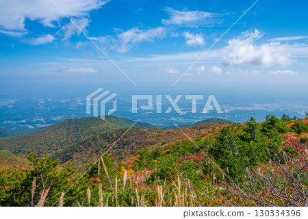 Adachi Adachi in autumn 130334396