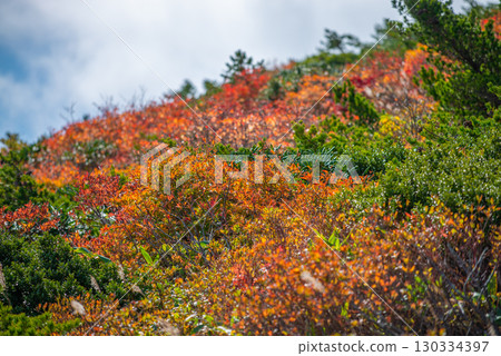 Adachi Adachi in autumn Adachi Adachi in autumn 130334397