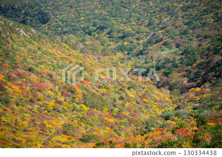 Adachi Adachi in autumn 130334438