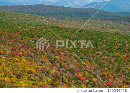 Adachi Adachi in autumn 130334458