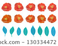 Retro cute red camellia flower and leaf illustration set 130334472