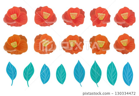 Retro cute red camellia flower and leaf illustration set 130334472