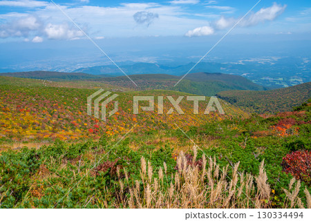 Adachi Adachi在秋天 Adachi Adachi在秋天 130334494