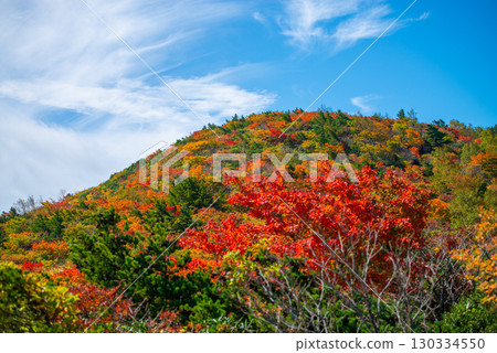 Adachi Adachi in autumn Adachi Adachi in autumn 130334550