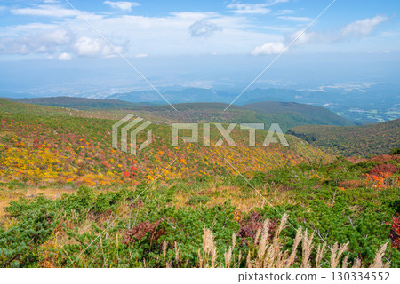 Adachi Adachi在秋天 130334552