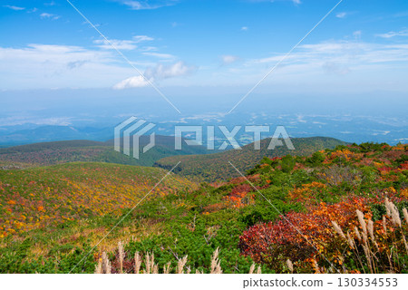 Adachi Adachi在秋天 130334553