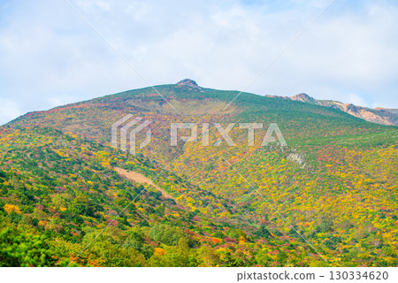 Adachi Adachi in autumn 130334620