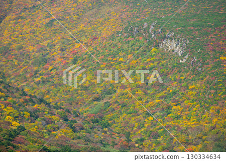 Adachi Adachi in autumn Adachi Adachi in autumn 130334634