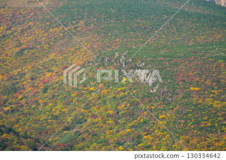 Adachi Adachi in autumn Adachi Adachi in autumn 130334642