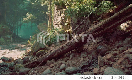 A dense forest filled with a variety of rocks and trees, showcasing the natural abundance of plant life and rocky terrain. 130334923