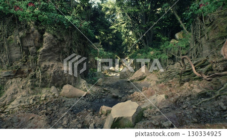 A dirt road winds through a green forest, flanked by trees and rocks. The natural surroundings create a rugged and rustic landscape. 130334925
