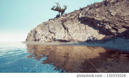 A lone tree bravely thrives on a cliff edge overlooking the rocky South African coastline. 130335026