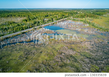 Waterlogged landscape showing dead trees and lush vegetation in an affected area experiencing severe flooding issues 130335639