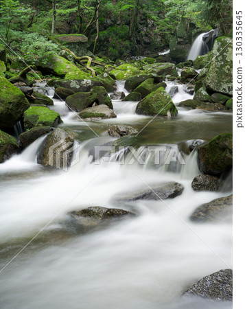 Waterfalls, streams and mossy rocks Waterfalls, streams and mossy rocks 130335645