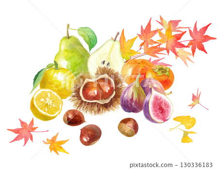 A collection of autumn and winter fruits against the background of autumn leaves. Watercolor illustration of chestnut, persimmon, fig, pear and yuzu. 130336183