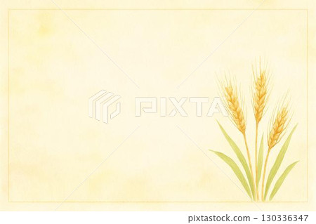 明信片:麥穗 明信片:麥穗 130336347