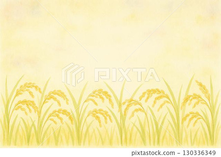 Rice field 130336349