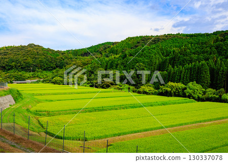 鄉村景觀 130337078