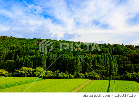 鄉村景觀 130337120